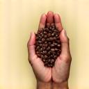 Icon of a hand holding coffee beans